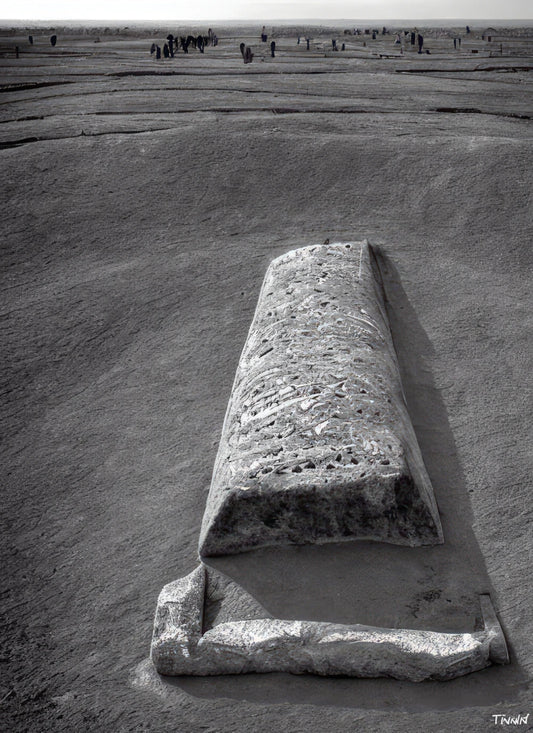 Megaliths Among the Elements - Desert
