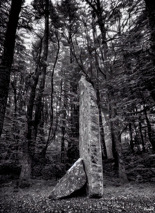 Megaliths Among the Elements - Forest