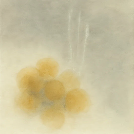 Fifth Journey Day 117: The Paper Wrap Held Steam