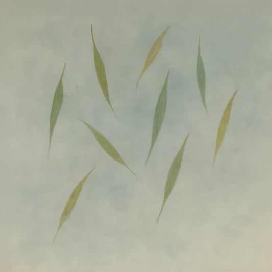 Fifth Journey Day 146: Leaves That Refused Descent