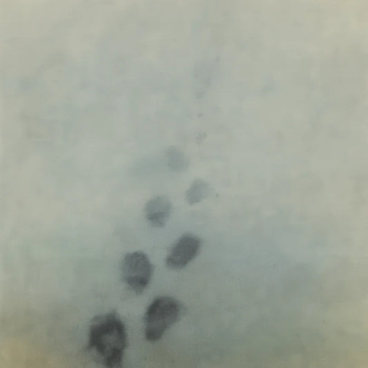 Fifth Journey Day 158: Footsteps Becoming Water