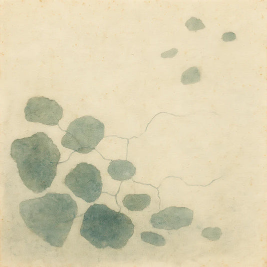 Fifth Journey Day 167: Air Between the Stones