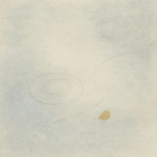 Fifth Journey Day 64: When the Pond Forgot the Sky