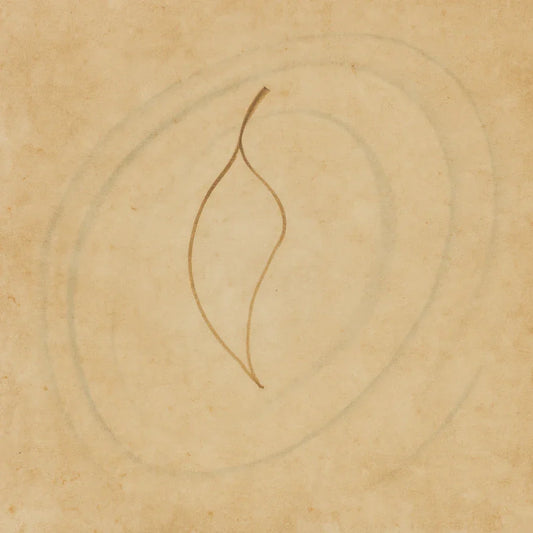 Fifth Journey Day 90: Traced Around a Falling Leaf