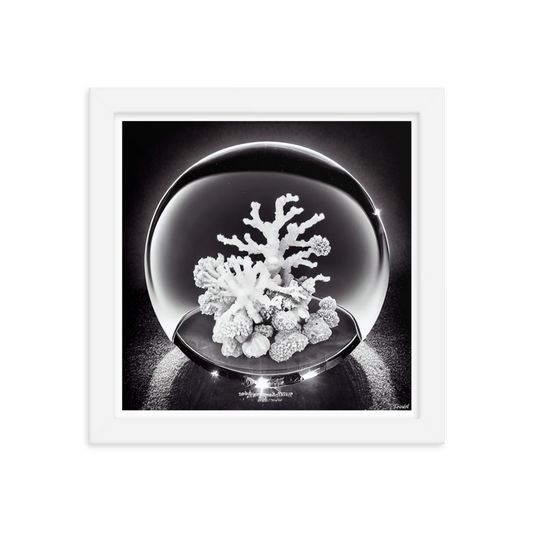 Preservation Spheres - Coral: Lustre Paper Framed Poster